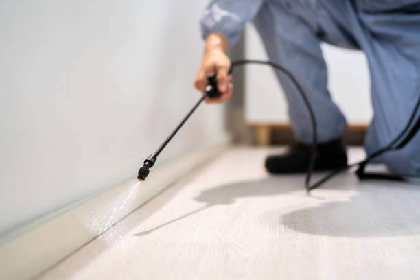 Licensed Termite Control service in Rocklin, CA - Nex Pest Control