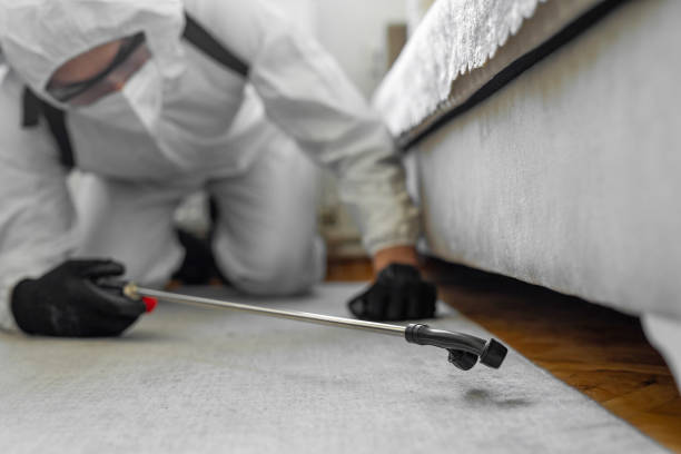 Professional Termite Control technician working in Rocklin, CA