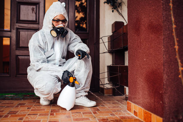 Reliable Termite Control contractor in Rocklin, CA by Nex Pest Control